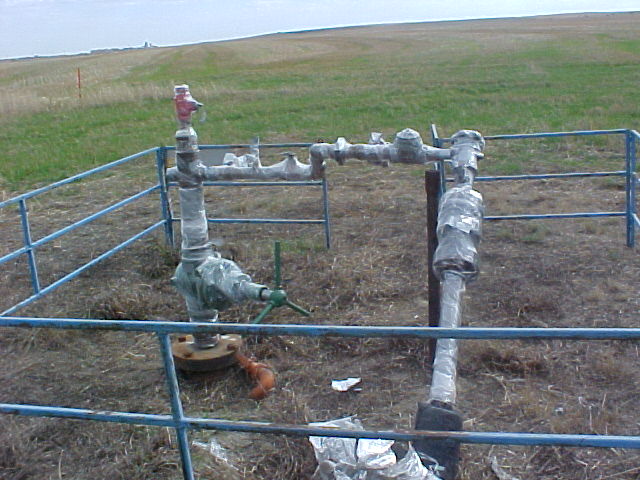 Spray foam on a wellhead