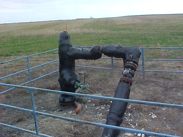 Spray foam on a wellhead